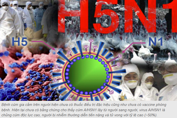 Người bị nhiễm cúm A/H5N1 thường tử vong với tỷ lệ cao, Bộ Y tế khuyến cáo 5 biện pháp phòng, chống